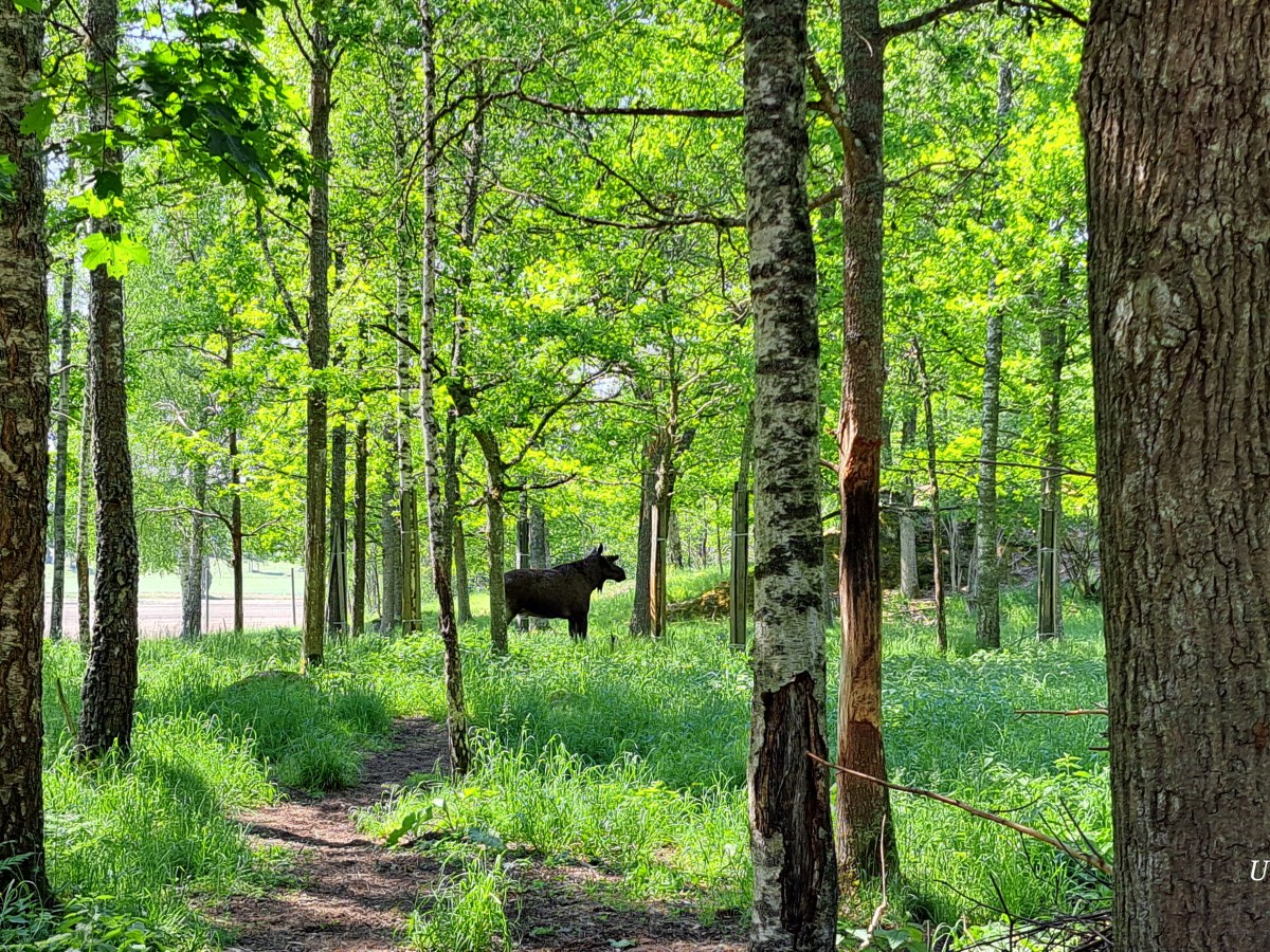 Und wenn wir uns satt gesehen&nbsp;haben