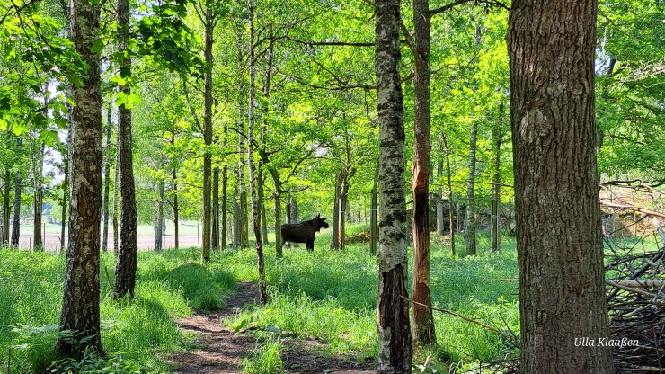 Und wenn wir uns satt gesehen haben