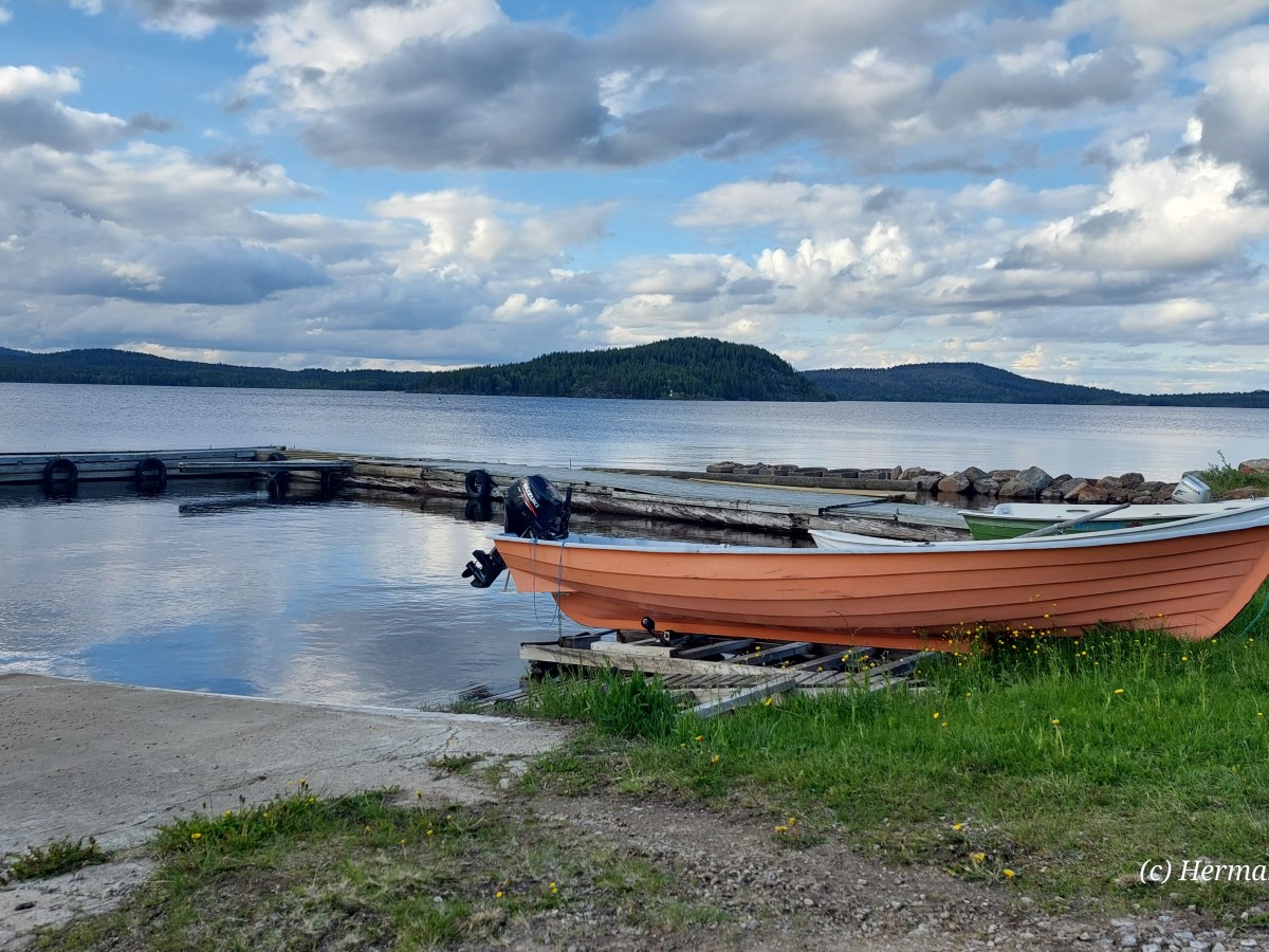 Nördlich vom Polarkreis
