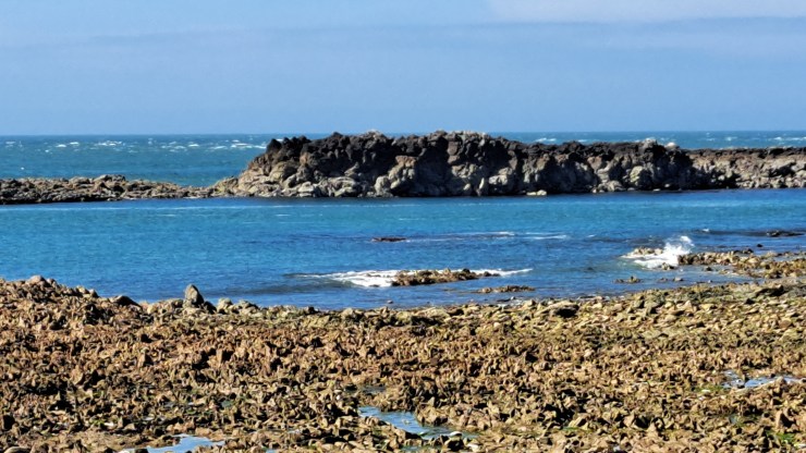 Das offene Meer